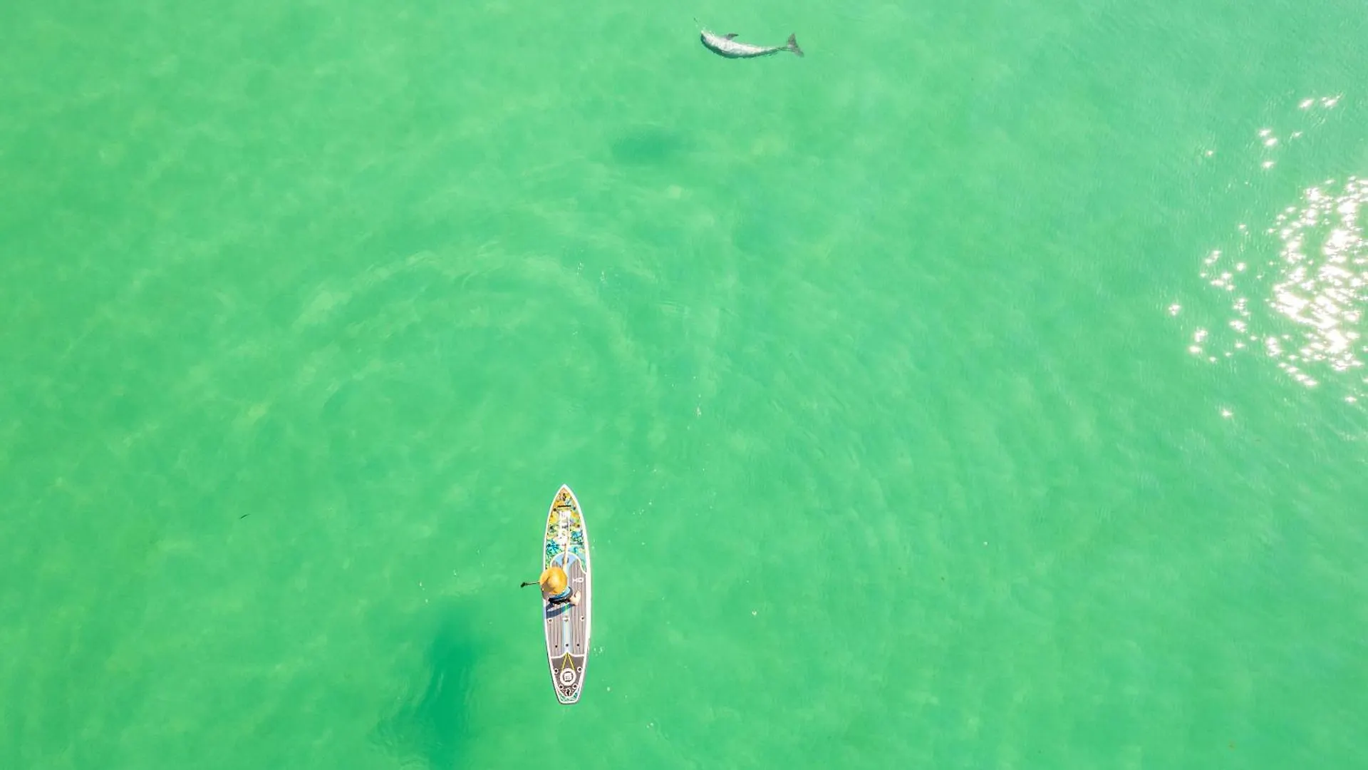 Apartment Sandpiper Cove 1157- By Holiday Isle Properties Destin