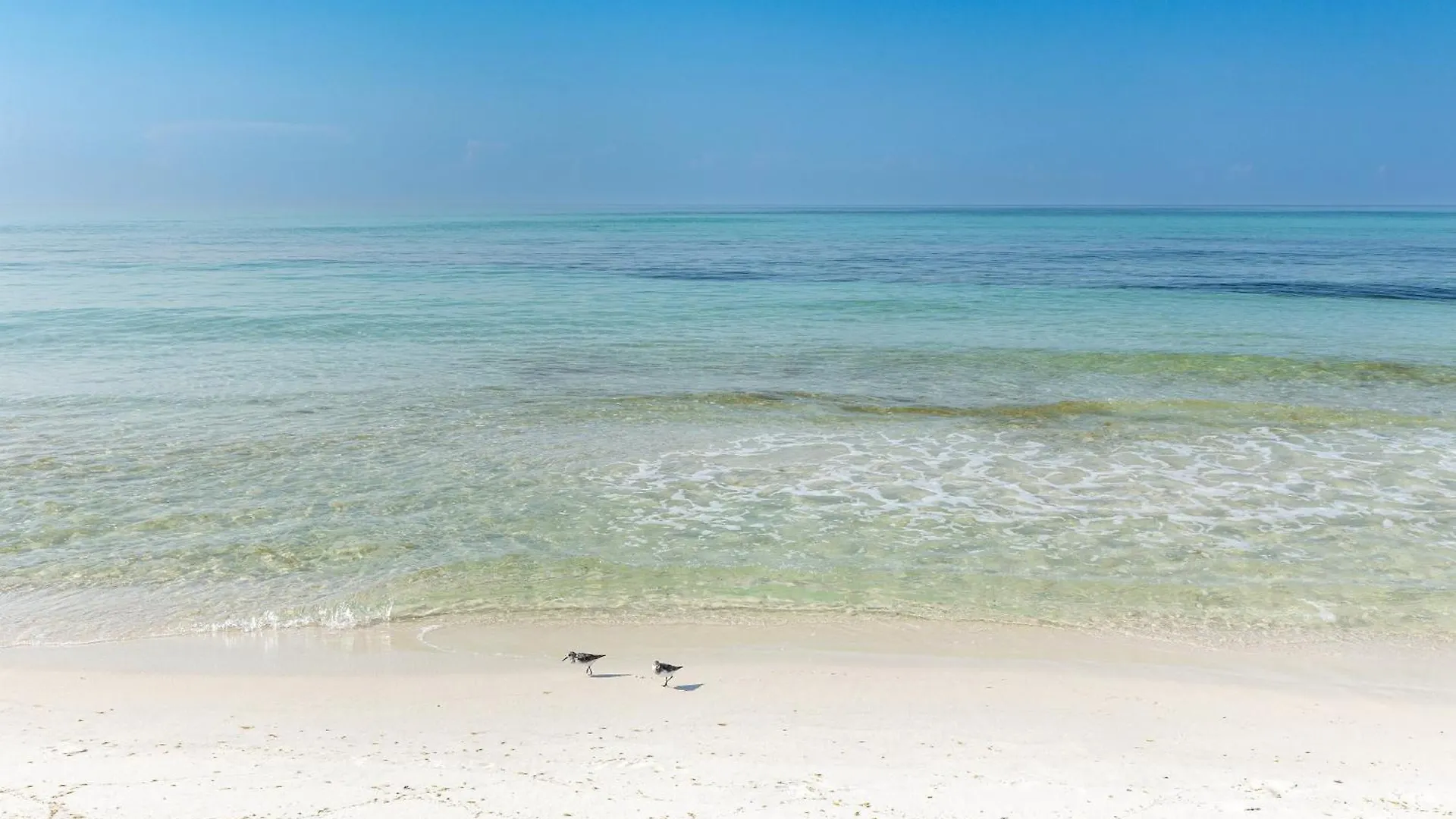 Sandpiper Cove 1157- By Holiday Isle Properties Destin